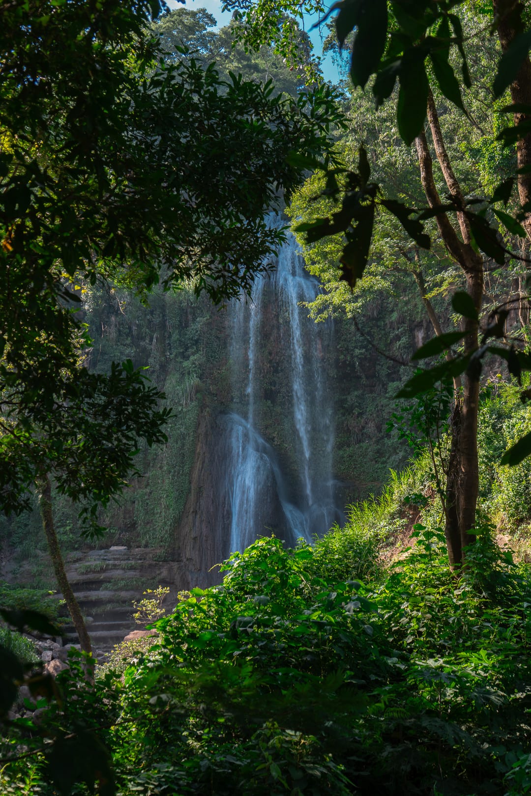 Cascada en la selva