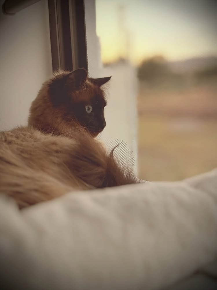 Luz de ventana